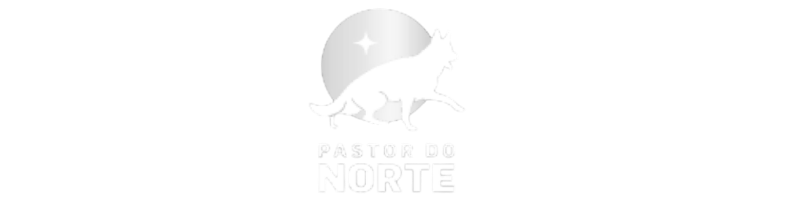projetos digital minds (42)